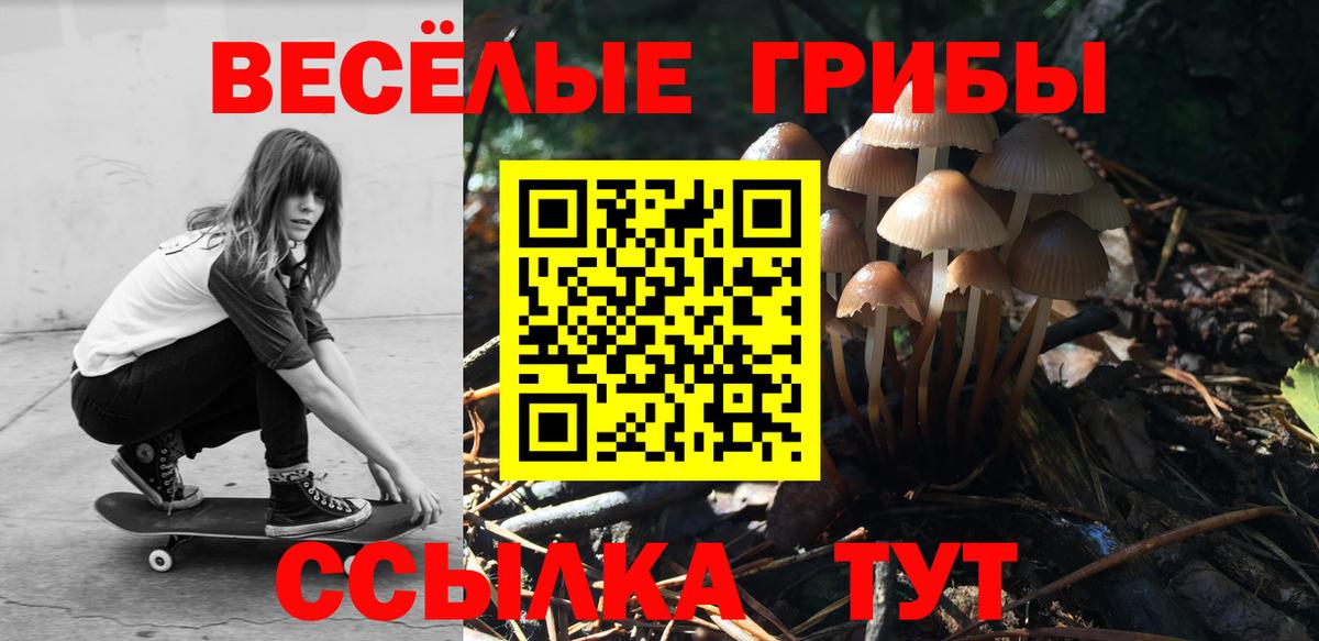 Галлюциногенные грибы GOLDEN TEACHER  Псилоцибиновые грибы MAGIC MUSHROOMS  Ачхой-Мартан  Вход с VPN 