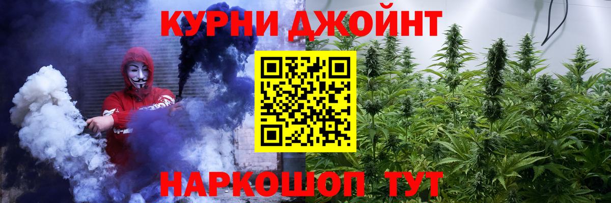 Каннабис Ganja Ачхой-Мартан